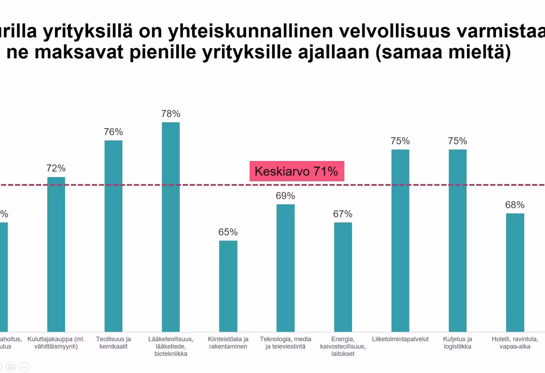 Tutkimus: Hidas maksaminen este yritysten kestävyydelle ja kasvulle - ratkaisuksi valvontaa vai vapaaehtoisuutta?