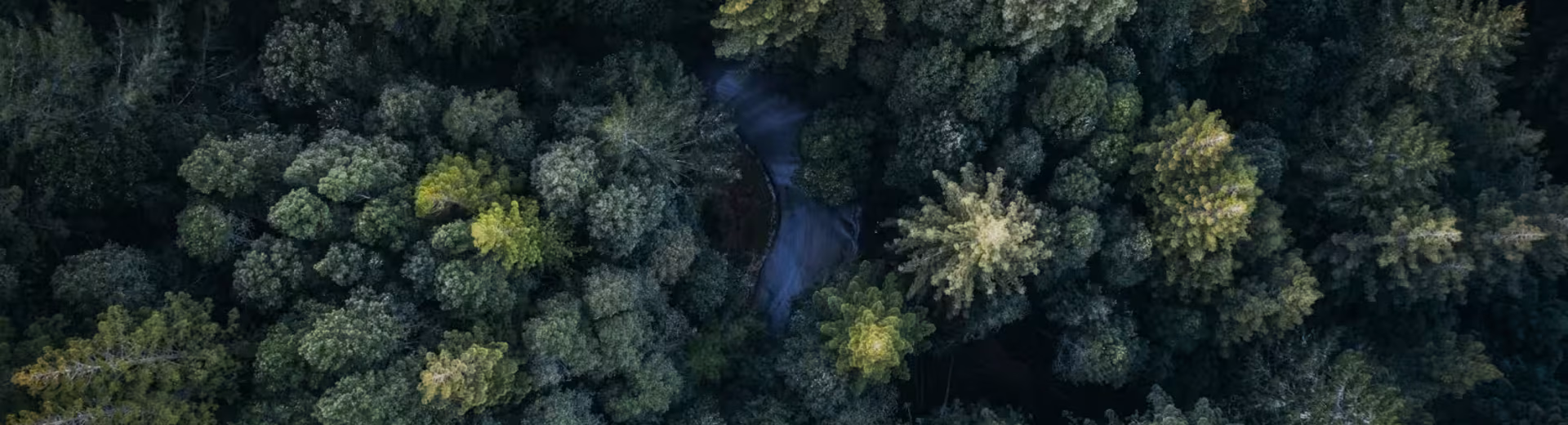 Suomen Intrumin vastuullisuustavoitteet