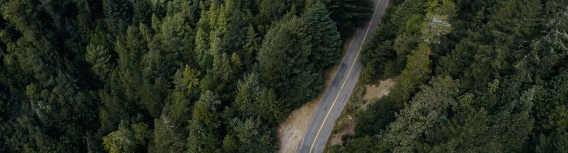 Globaali toimija, paras paikallinen asiantuntijuus